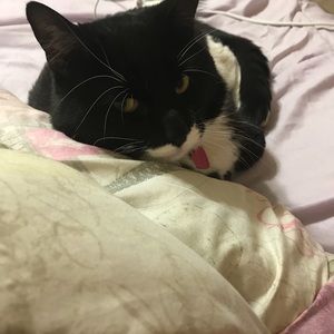 Meet your Posher, Lina